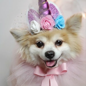 May include: A small, fluffy dog wearing a pink tutu and a unicorn headband with purple, pink, and blue flowers. The headband has a sparkly purple horn.