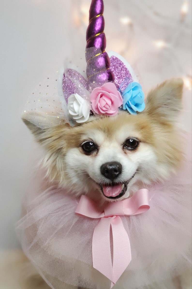 May include: A small, fluffy dog wearing a pink tutu and a unicorn headband with purple, pink, and blue flowers. The headband has a sparkly purple horn.
