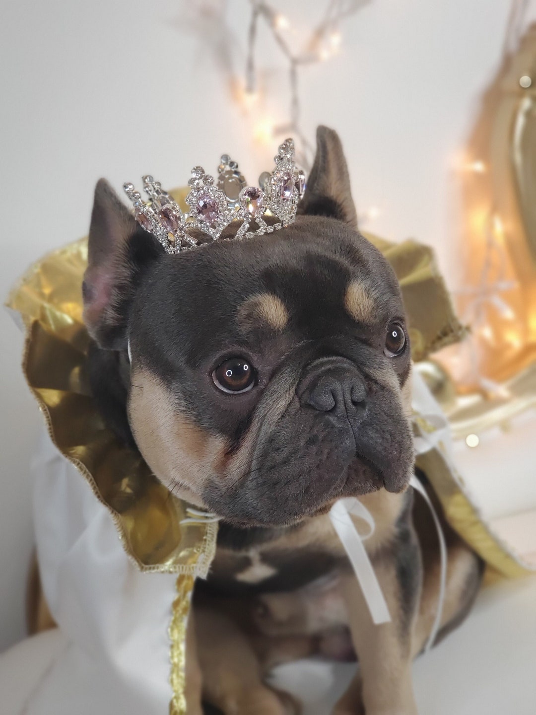 Gold Color Crown for Dog or Cat /princess Dog Crown / Crown for Dog ...