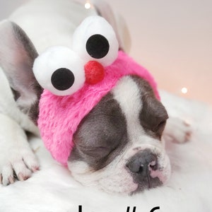 Headband  for dog or cat /headband for dogs/Pet gift/