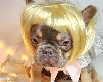 Pet   wig  for dog or cat/Halloween dog wig / Pet costume /