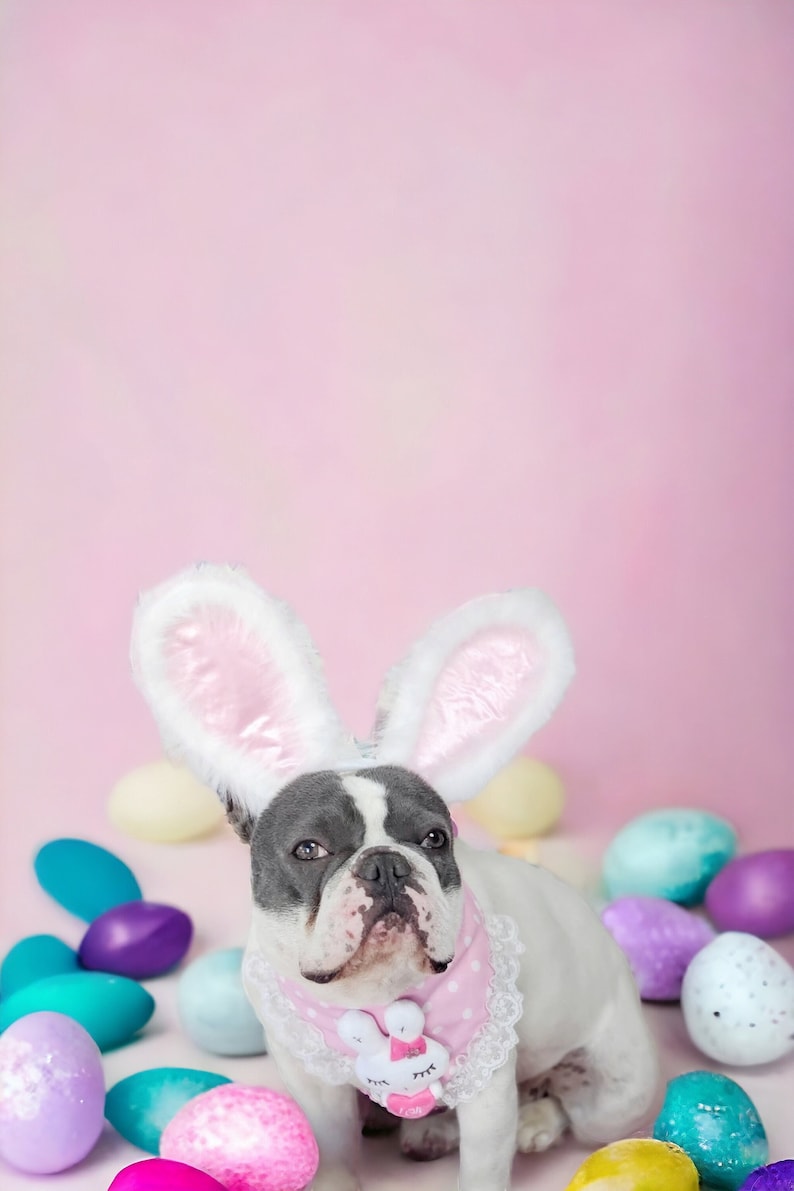 Easter Bunny headband for dog or cat /Bunny dog hat / Bunny dogs costume/ Pink