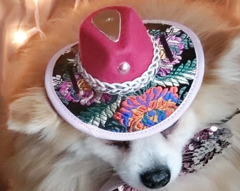 Cowboys  hat   for dog or cat/Halloween costume/Costume for  dogs /