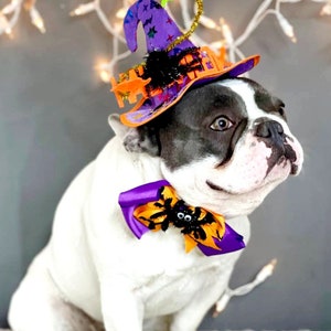 Witch hat for dog/ Black color Halloween hat with bow tie/Dog costume/Halloween costume/Cat Halloween costume/Dog costume image 6