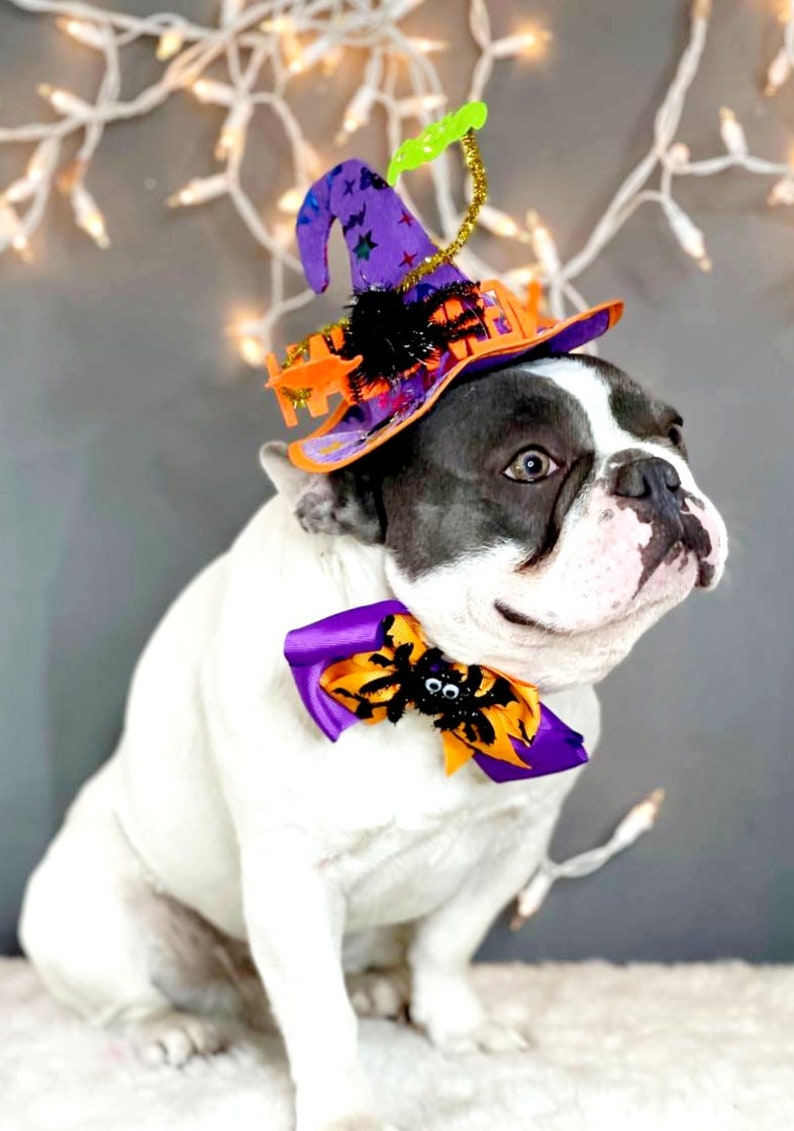 Witch hat for dog/ Black color Halloween hat with bow tie/Dog costume/Halloween costume/Cat Halloween costume/Dog costume image 6