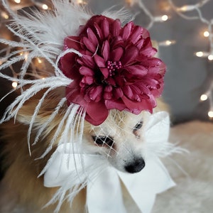 Elegant hat with   feather and   flower for dog or cat /Hat for small pet /Costume for dogs/