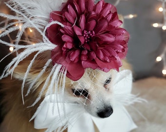 Elegant hat with   feather and   flower for dog or cat /Hat for small pet /Costume for dogs/