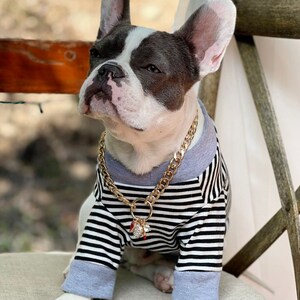 Supper cute dog neck chain gold color/ Jewelry for pet /Jewelry collar for  Frenchie/