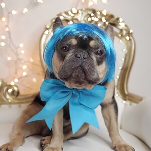 May include: A French Bulldog wearing a bright blue wig and a matching oversized bow. The dog is sitting on a white chair with a gold-colored ornate back. The background features soft, out-of-focus fairy lights.