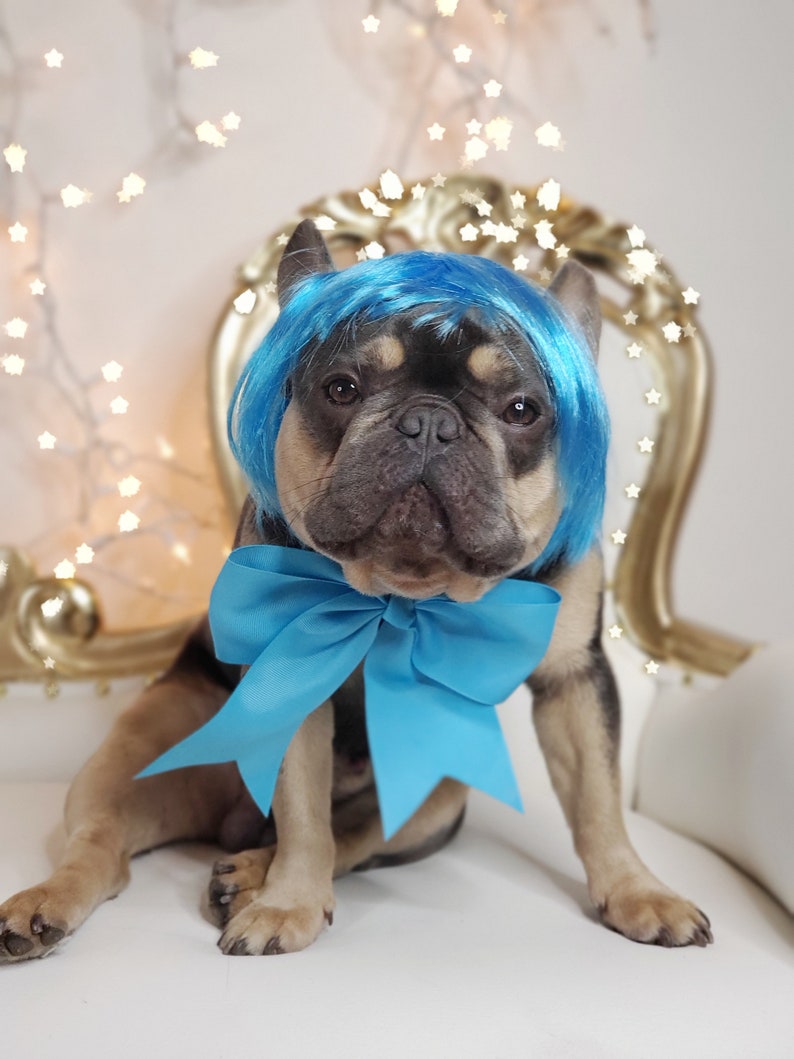 May include: A French Bulldog wearing a bright blue wig and a matching oversized bow. The dog is sitting on a white chair with a gold-colored ornate back. The background features soft, out-of-focus fairy lights.