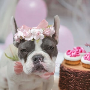 Set flower crown and neck bow / Garden Flowers Pet wedding Set /Flower Crown/ Dogs Floral Headband /Cat Flower Crown Outfits/