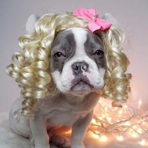 Cute pet   wig /Wig for dog or cat / Halloween dog wig / costume dog wig /Frenchies wig /