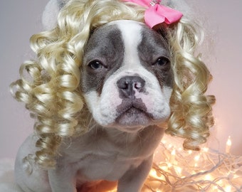 Cute pet   wig /Wig for dog or cat / Halloween dog wig / costume dog wig /Frenchies wig /