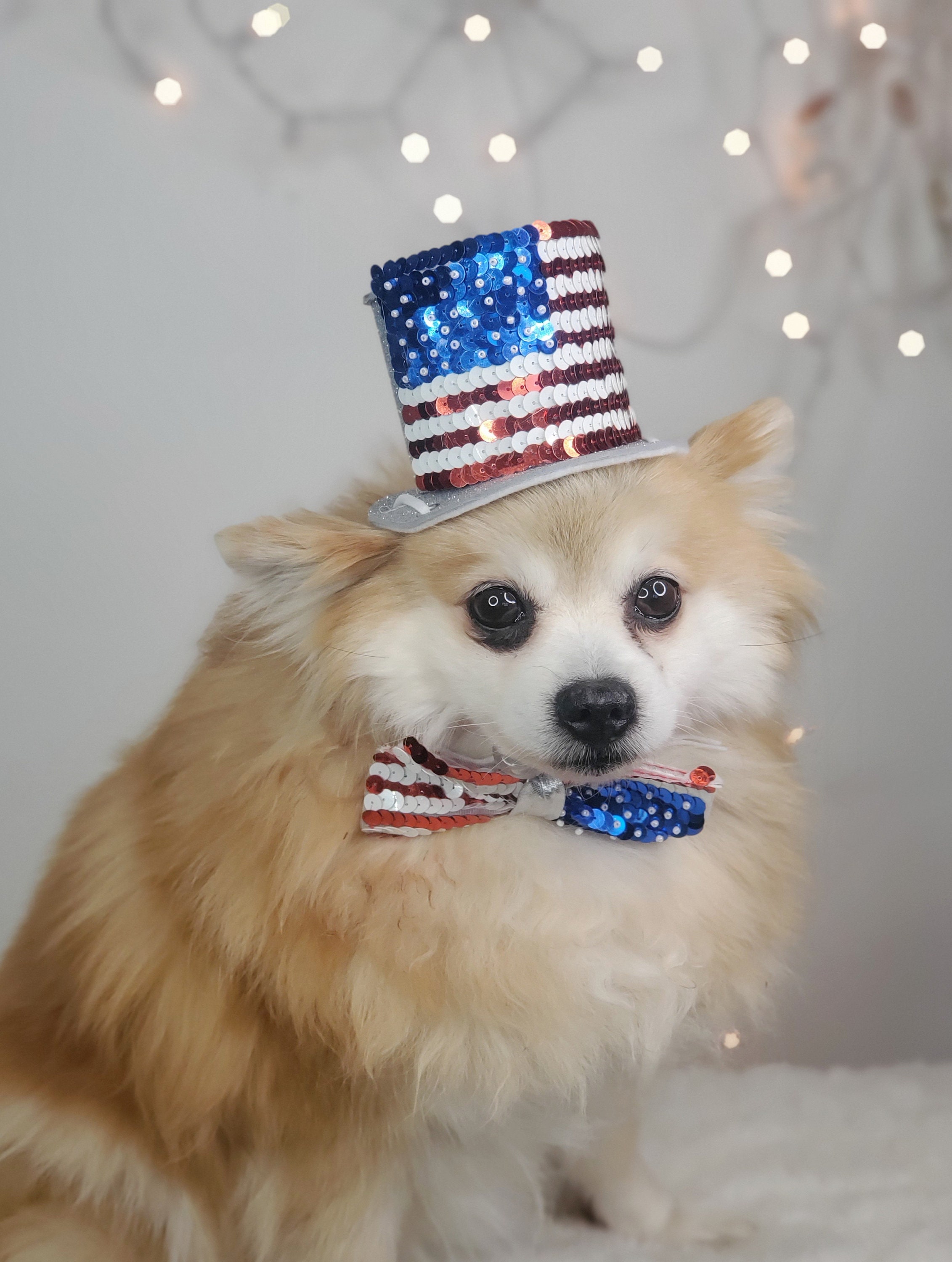 Dog 4th Of July Outfit Buy GOYOSWA PCS 4th Of July Dog Clothes