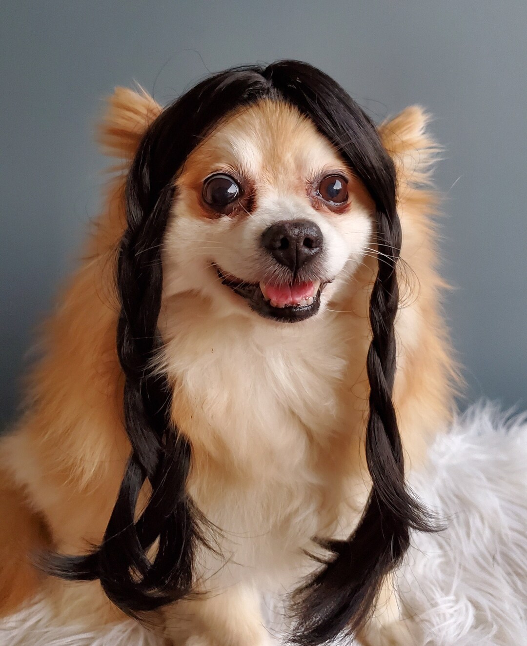 Cute Pet Braided Wig Black Color for Dog or Cat /halloween Dog Wig