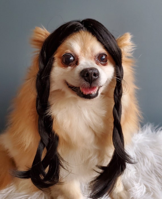 Wednesday Wig for Pet/ Cute Pet Braided Wig Black Color for Dog or Cat  /halloween Dog Wig / Costume Dog Wig /dog Costume/ 
