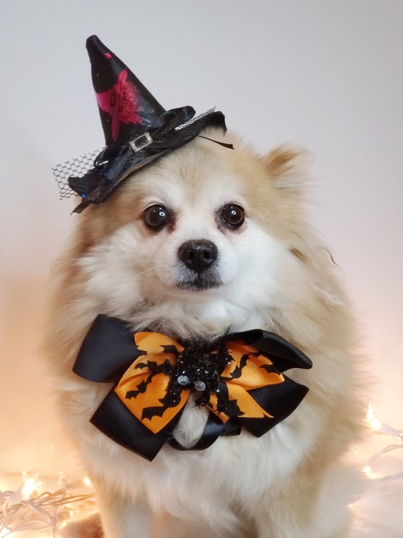 LESYPET Zauberer-Hut Für Katze & Hund – Halloween-Kostüm Mit Sternen, Glöckchen & Klettband