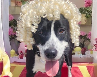 6 Stück Hundekleider Set – Röcke Mit Schleifen, Für Halloween, Weihnachten & Feste
