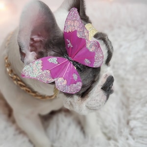 Franse bulldog // Dog Butterfly Bow // Dog Neck Tie || De || van de Vlinderdas van het huisdier De Kleren van de hond
