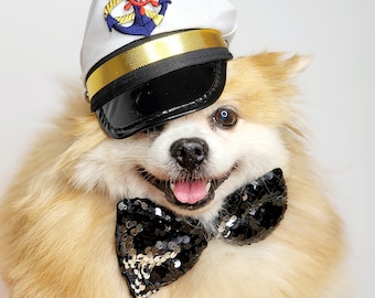 May include: A fluffy, light brown dog wearing a white and black sailor hat with a gold band and an anchor and wheel design. The dog is also wearing a black sequined bow tie.