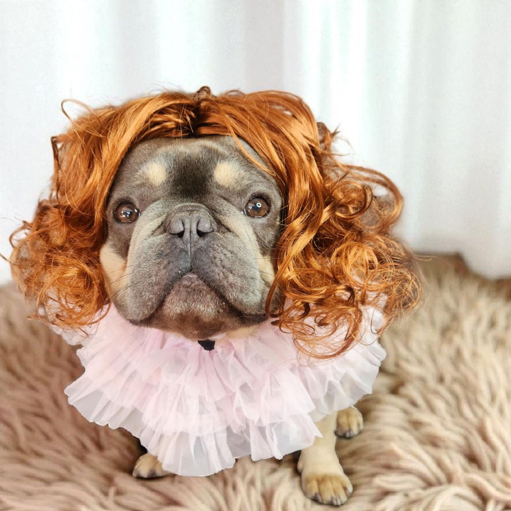 Rust Dog Wig: Adjustable Halloween Pet Costume