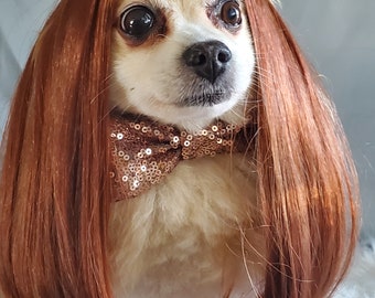 Cute Pet Wig for Dog or Cat halloween Dog Wig costume Cat Wig wig for Dogs wig for Dogs Etsy