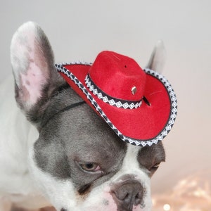 Cowboyhoed voor hond of kat /Hondenkostuum /