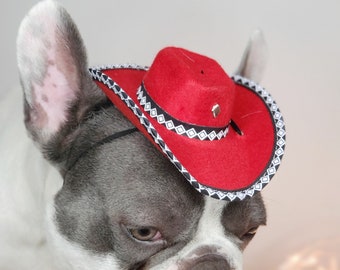 Cowboys  hat   for dog or cat /Dog costume /