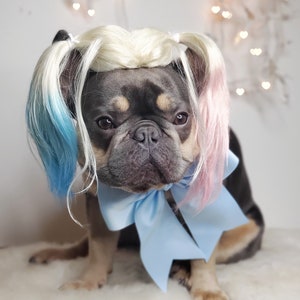 Harley quinn dog wig with Pony tails /Cute pet wig for dog or cat / Halloween pet wig / Costume dog wig /Dog costume / image 9