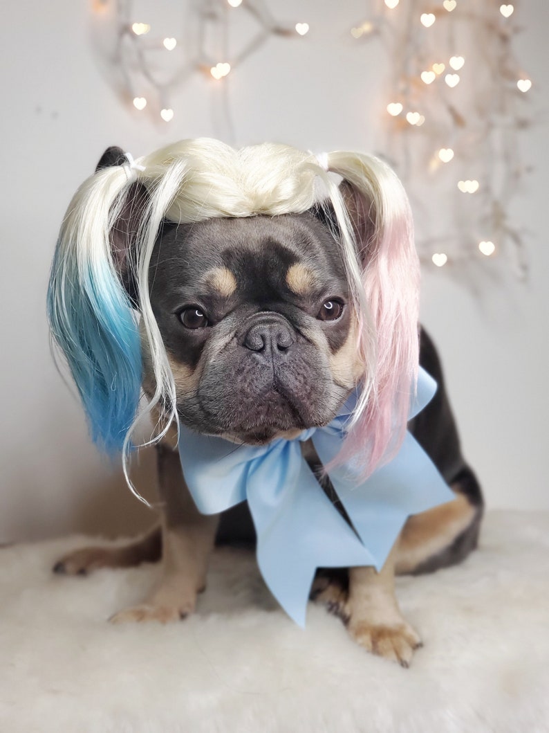 Harley quinn dog wig with Pony tails /Cute pet wig for dog or cat / Halloween pet wig / Costume dog wig /Dog costume / image 9