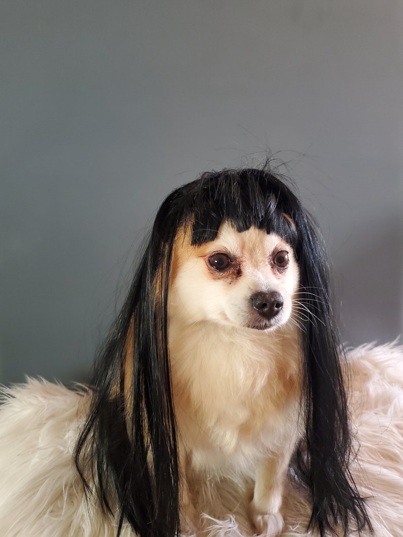 Pet Wig Black Color for Dog or Cat /halloween Costume Wig for - Etsy