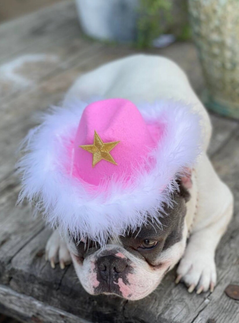 Cowboys Hat for Large Dog Bridal Pink Hat dog Costume frenchies Cowboy Hat Etsy Canada