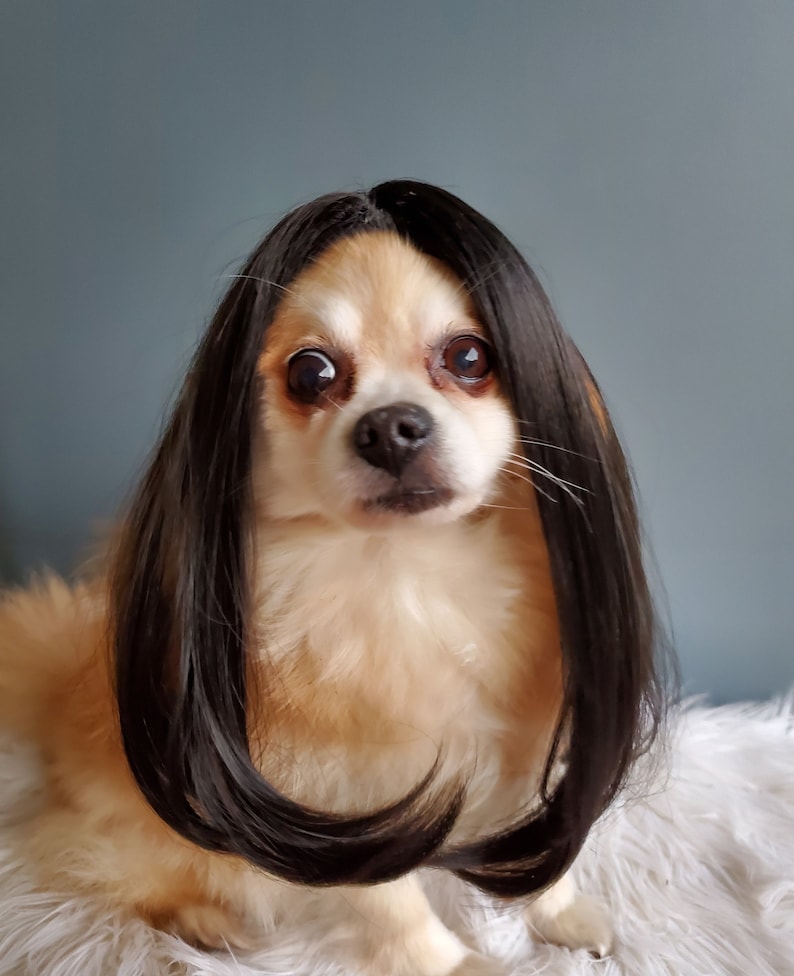 Cute pet wig black color dog or cat/Halloween dog wig/Costume dog wig /Dog costume / Cat costume / image 2