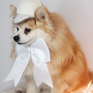 Casquette pour votre animal de compagnie / Chapeau mignon pour chien ou chat Petit animal image 3