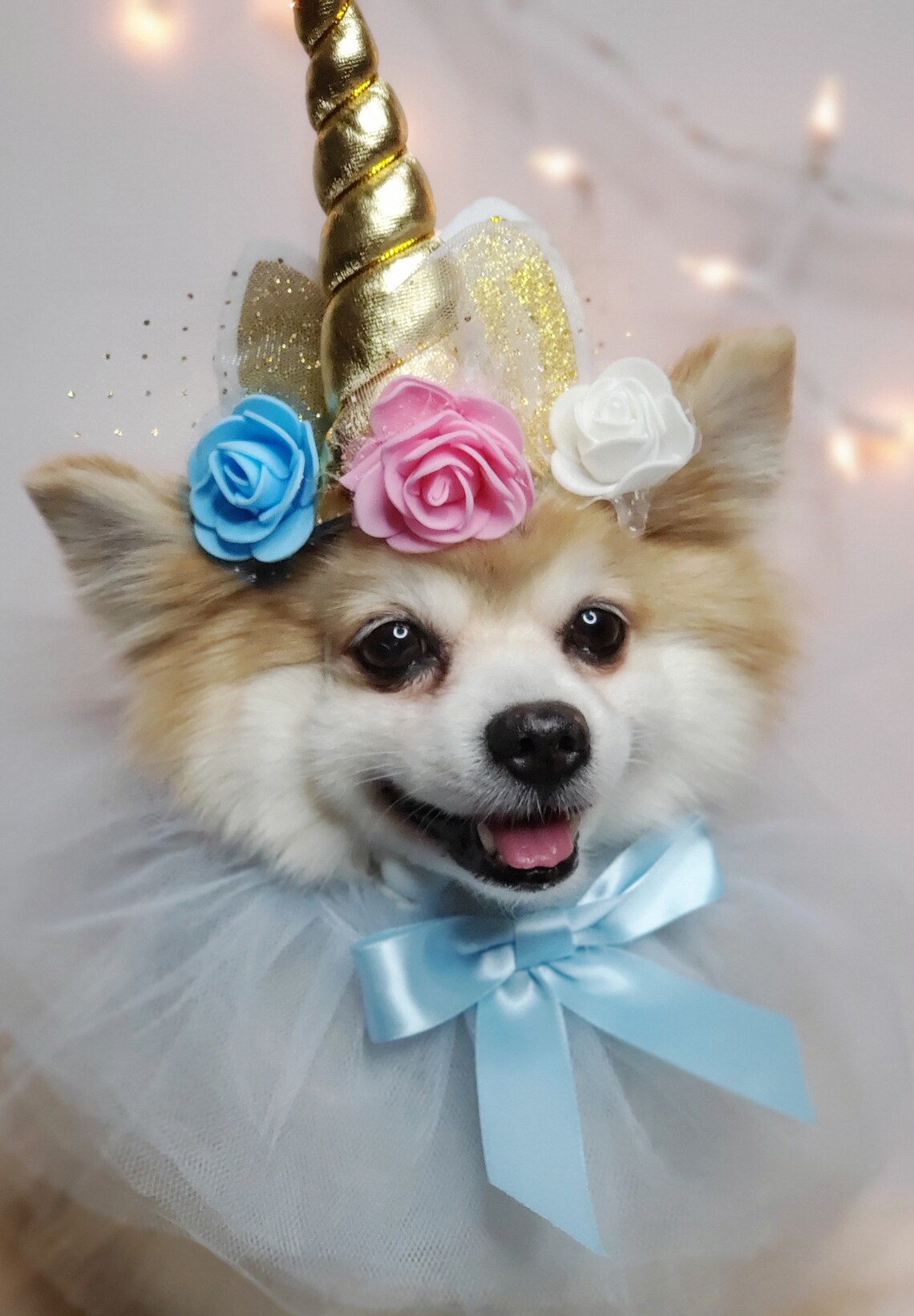 Set Hat and Collar /pet Unicorn Hat for Dog or Cat/halloween - Etsy