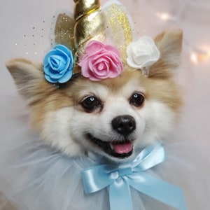 Set hat and collar /Pet  unicorn hat  for dog or cat/Halloween dog costume/
