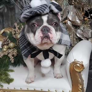 Beret  hat  with cape  dog or cat /Hat for dogs/Beret for dogs /
