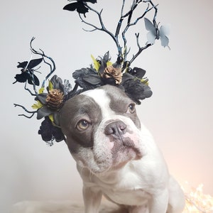 Floral Dog Headband, Elegant Pet Costume