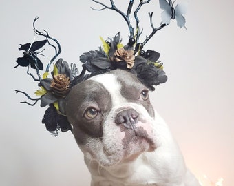 Beautiful  headband  with flowers  and /Halloween costume/Dog costume /