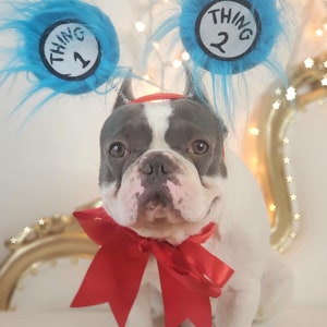 Cat in the hat /Halloween  costume for dogs/Dog costume  / Cat costume /