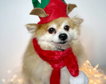 Elf Dog Hat /Elf Cat Hat / Elf Hat Costume for Pets /Dog Top Hat /Christmas Hat Costume