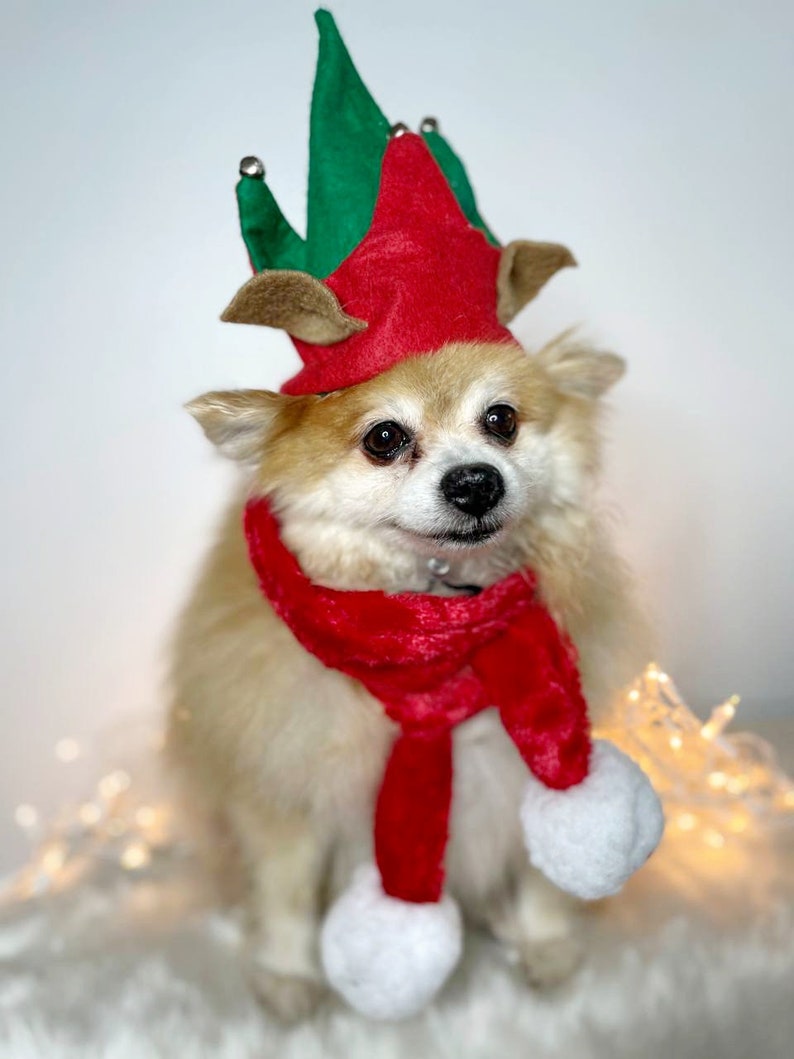 Elf Dog Hat /Elf Cat Hat / Elf Hat Costume for Pets /Dog Top Hat /Christmas Hat Costume image 1