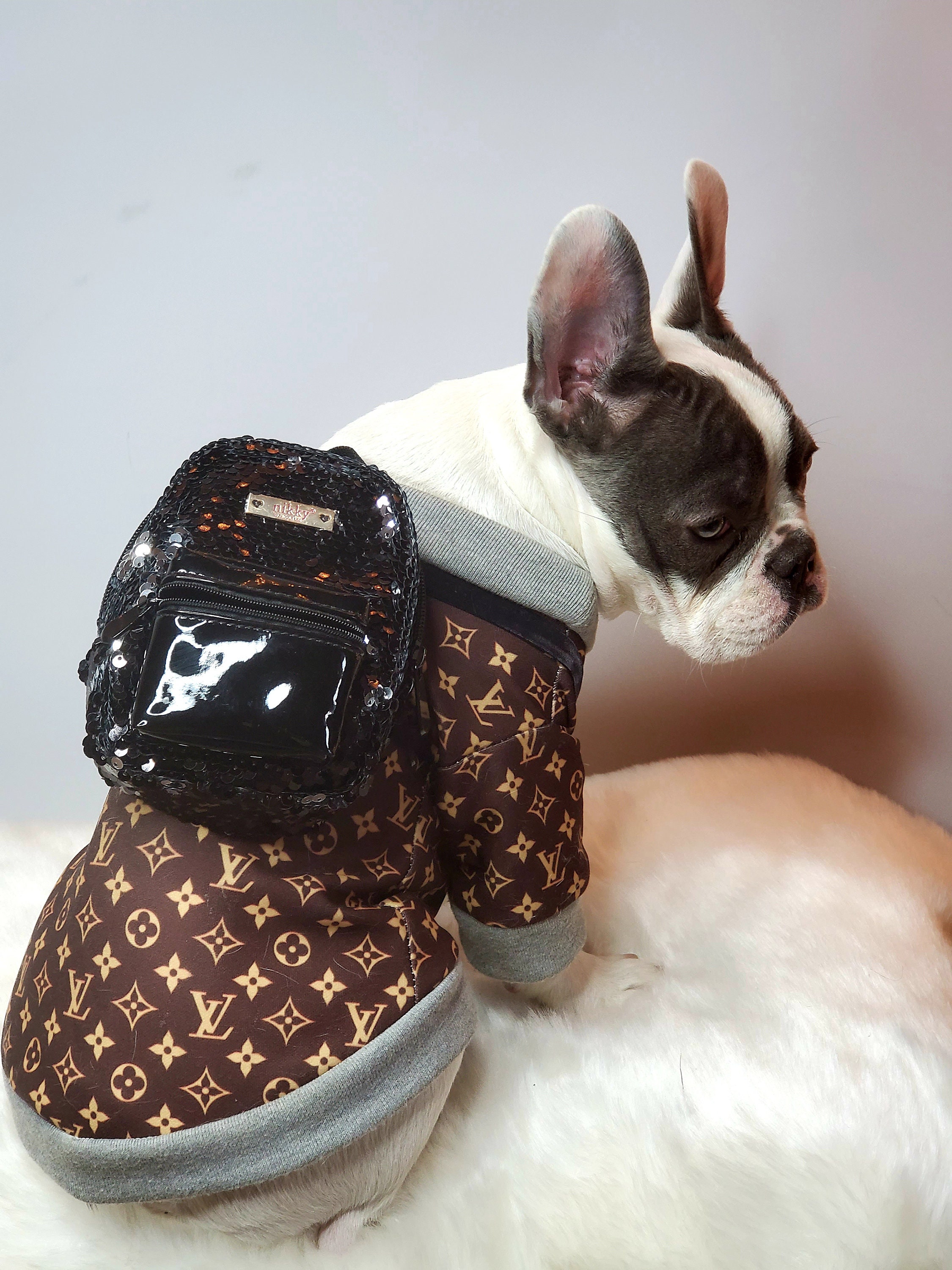 Pet Carrier, Louis Vuitton.  Pet carrier bag, Pet carriers, Cute dog  clothes