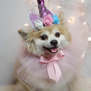 May include: A small white dog wearing a pink tulle tutu and a unicorn headband with purple, pink, and blue flowers. The headband has a sparkly purple horn.