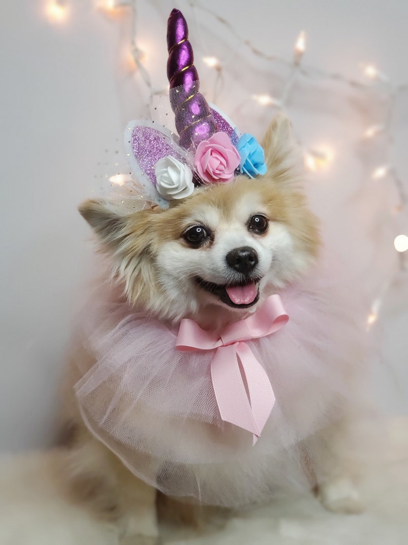 May include: A small white dog wearing a pink tulle tutu and a unicorn headband with purple, pink, and blue flowers. The headband has a sparkly purple horn.