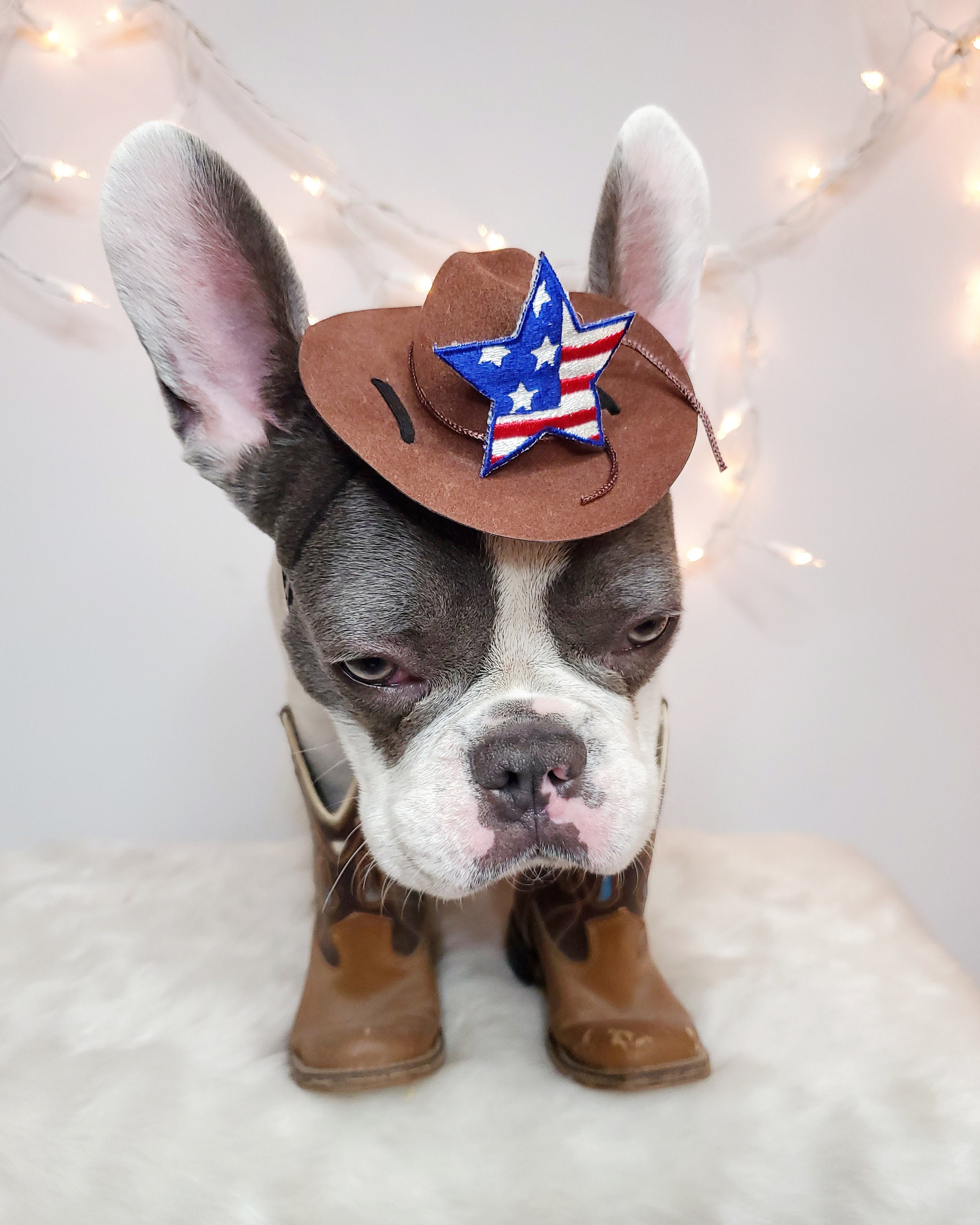 mini cowboy hat for cat