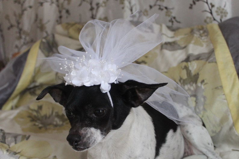 Cute bridal veil with white flowers for dog or cat/ Dog veil / Cat veil /Pet veil / image 5