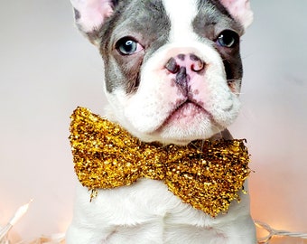 Bow tie gold color  // Dog Halloween Bow //  Costume || Dog Neck Tie || Pet Bow Tie || Dog Clothes/