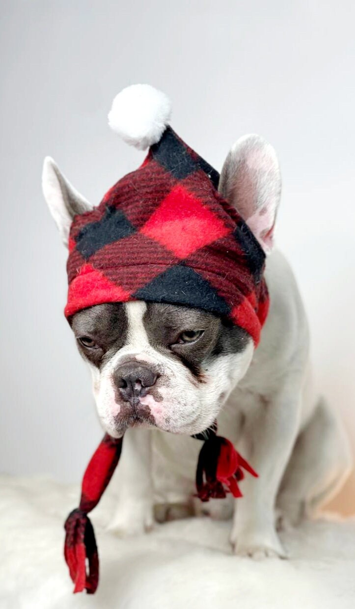 Winter Hat for Large Dog/frenchies Hat/christmas Dog Hat/ Etsy UK