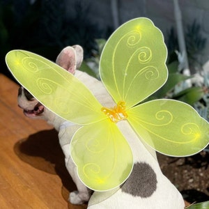 Dog costume Butterfly wings for pet / Halloween costume/Dog costume/Dogs costume /